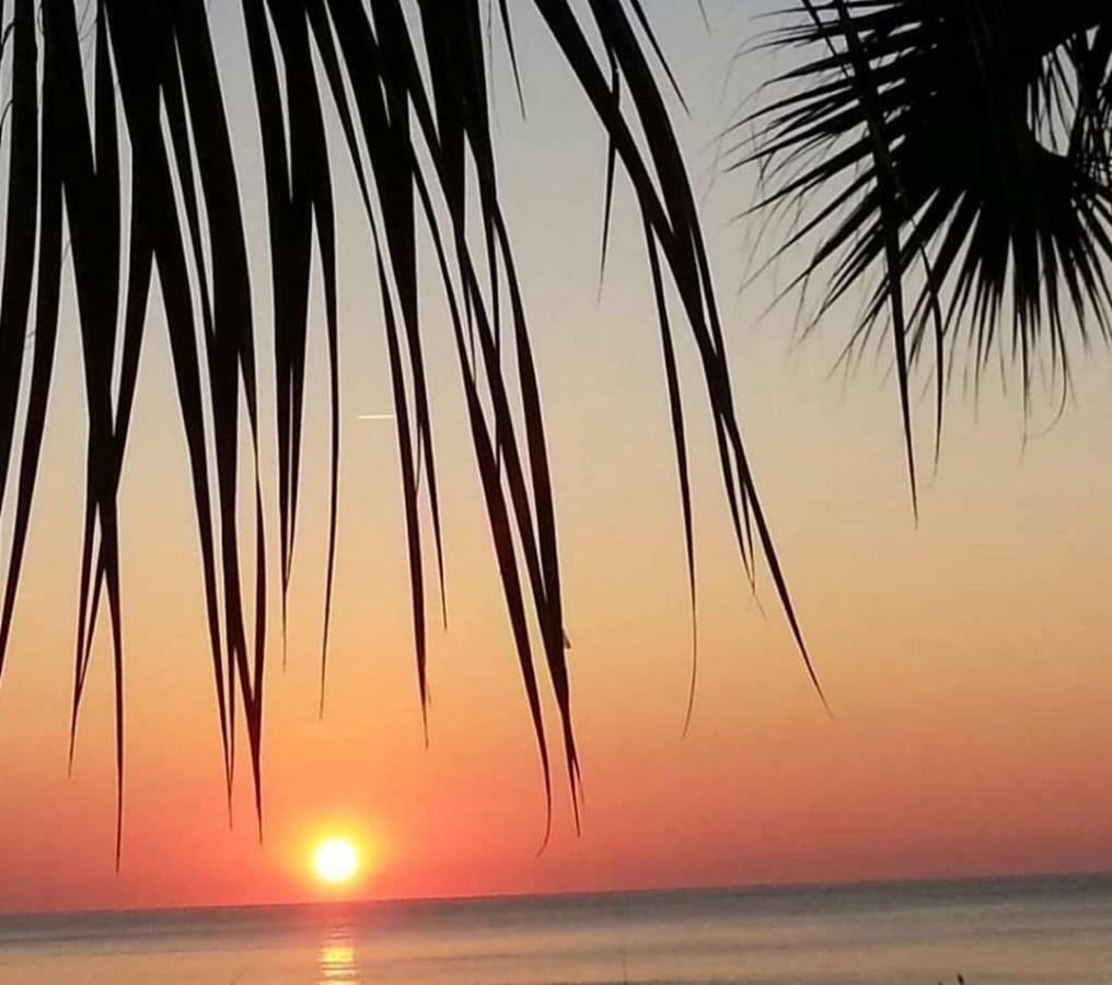 The Palms Resort-Oceanfront Myrtle Beach Esterno foto