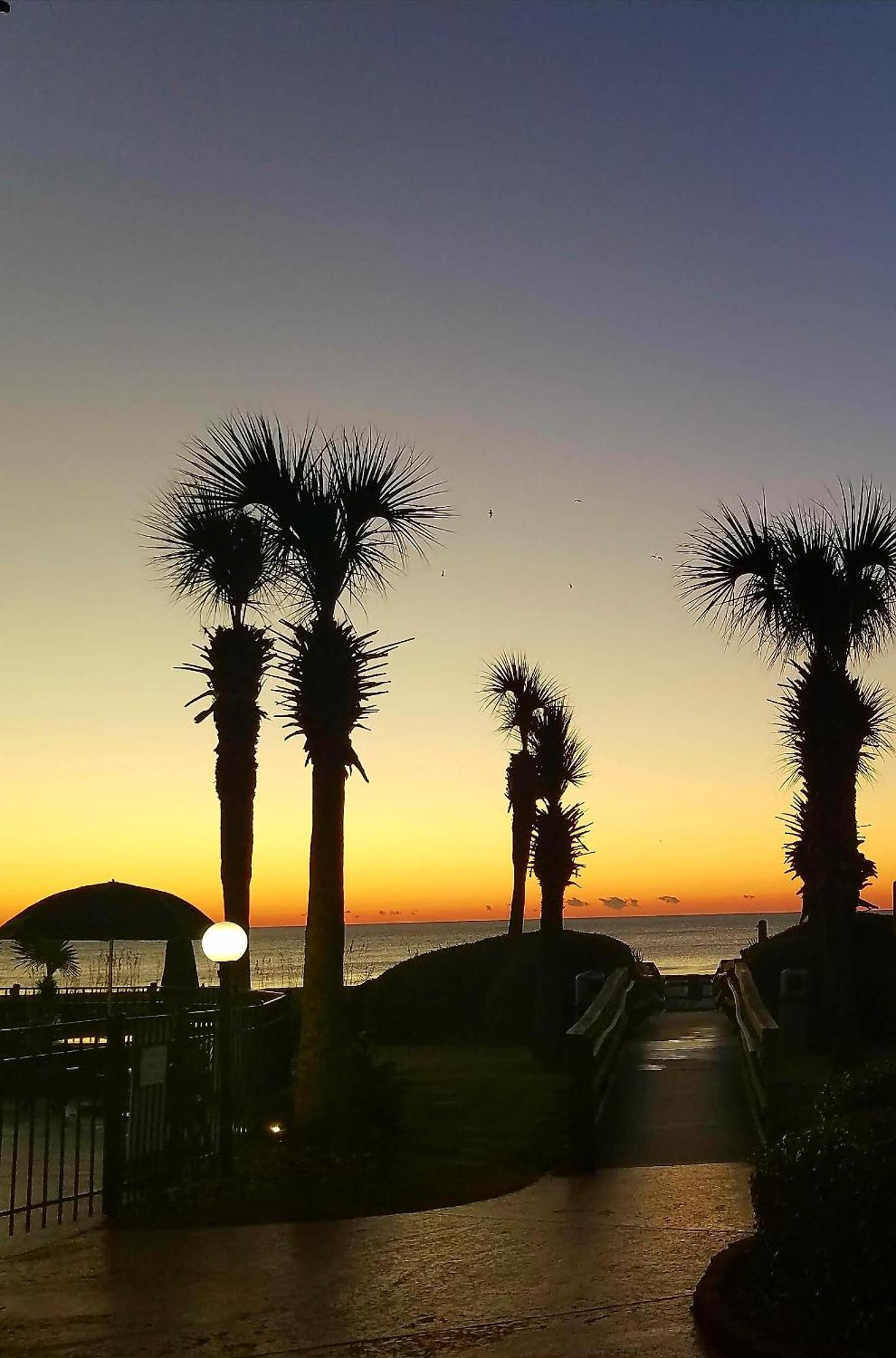 The Palms Resort-Oceanfront Myrtle Beach Esterno foto